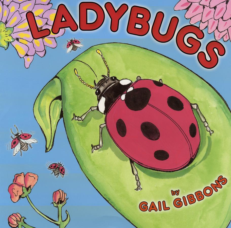Ladybugs-Children’s / Teenage general interest: Nature and animals-買書書 BuyBookBook