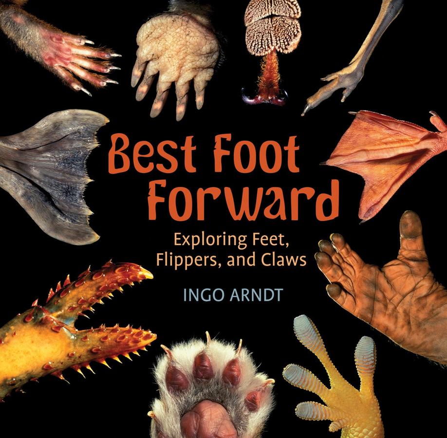 Best Foot Forward-Children’s / Teenage general interest: Nature and animals-買書書 BuyBookBook