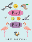A Bird Is a Bird-Children’s / Teenage general interest: Nature and animals-買書書 BuyBookBook