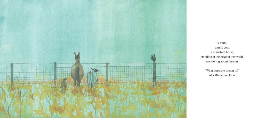 The Sun Is Late and So Is the Farmer US - Hardback