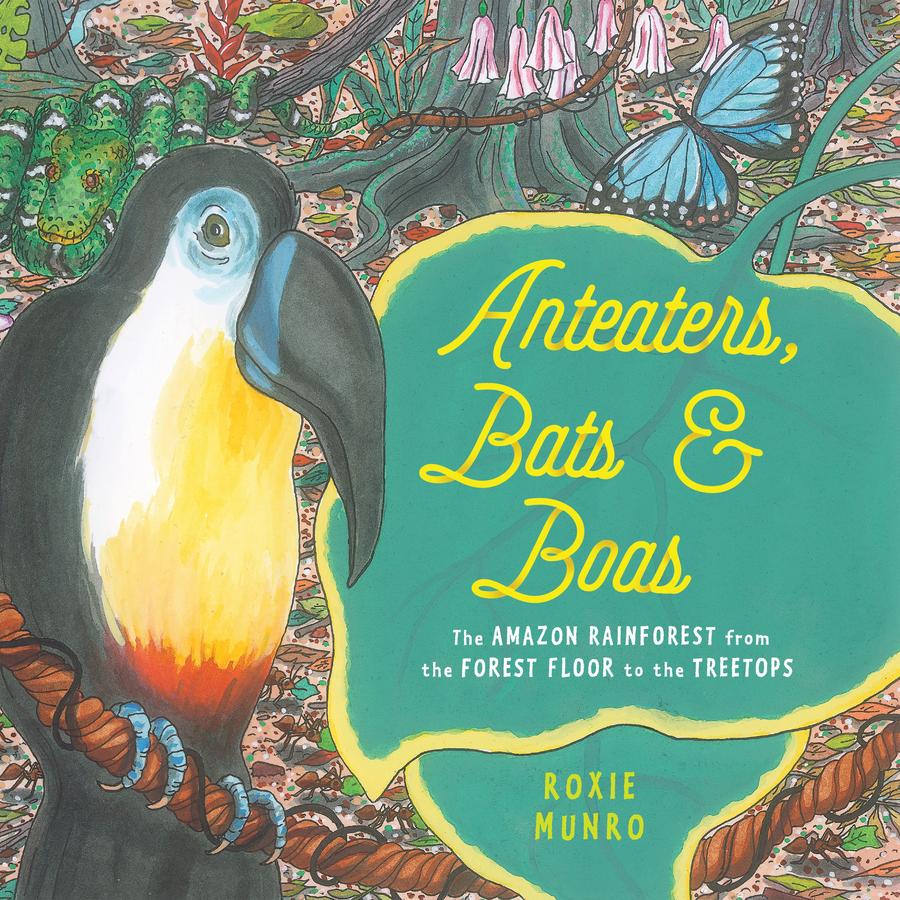 Anteaters, Bats & Boas-Children’s / Teenage general interest: Nature and animals-買書書 BuyBookBook