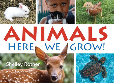 Animals!-Children’s / Teenage general interest: Nature and animals-買書書 BuyBookBook