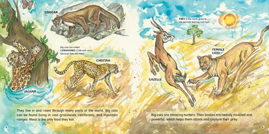 Big Cats! US - Hardback