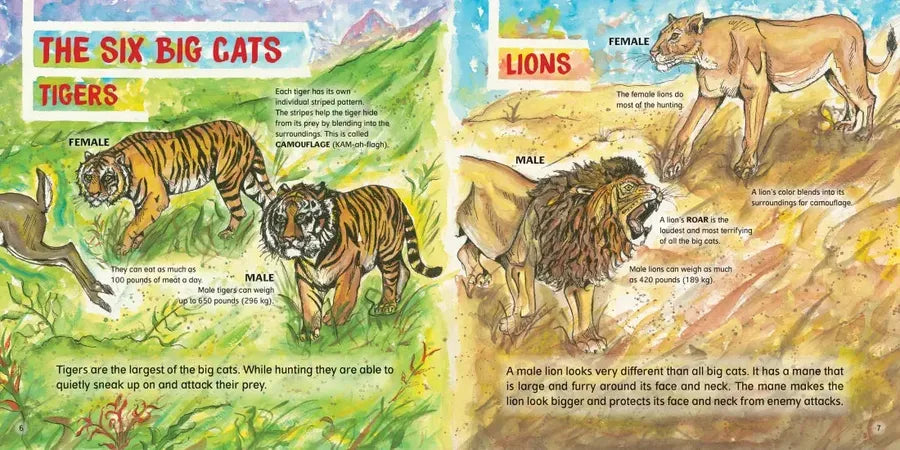 Big Cats! US - Hardback