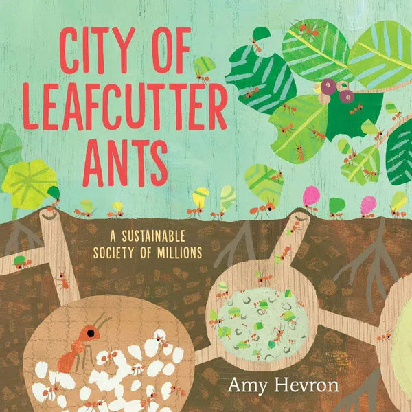 City of Leafcutter Ants-Children’s / Teenage general interest: Insects, spiders, minibeasts-買書書 BuyBookBook