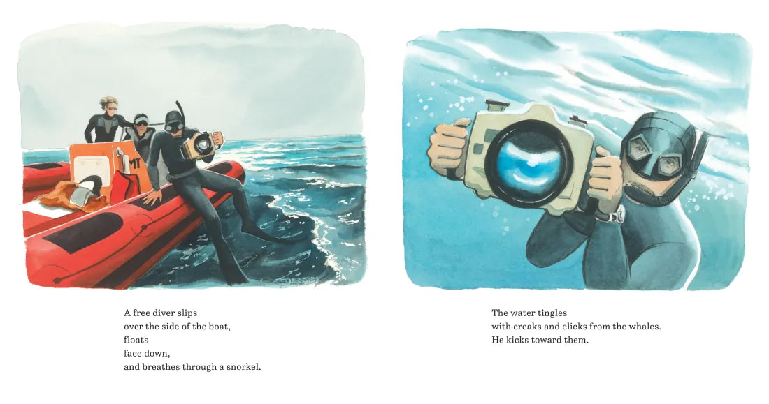 In the World of Whales US - Hardback