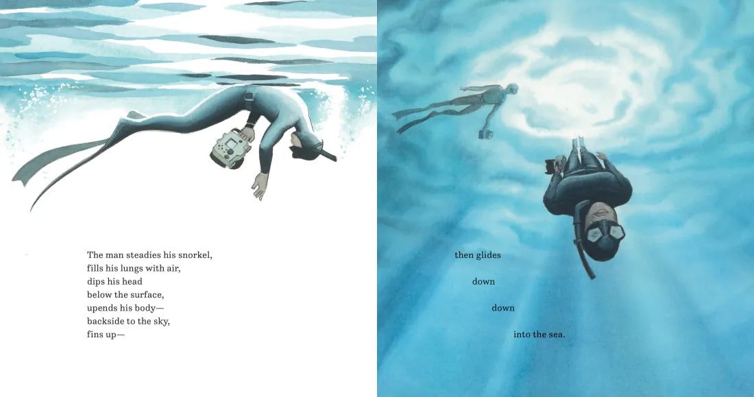 In the World of Whales US - Hardback