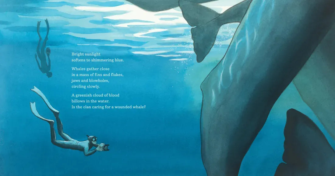 In the World of Whales US - Hardback
