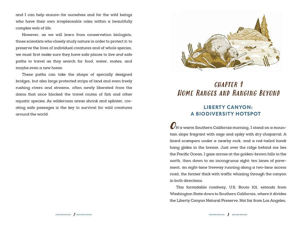 Wildlife Crossings of Hope US - Hardback