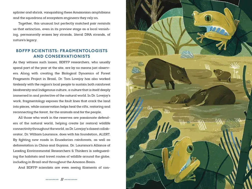 Wildlife Crossings of Hope US - Hardback