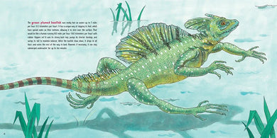 Lizards at Large US - Hardback