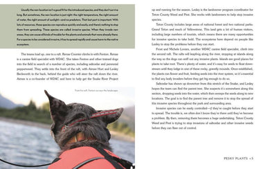 Detective Dogs US - Hardback