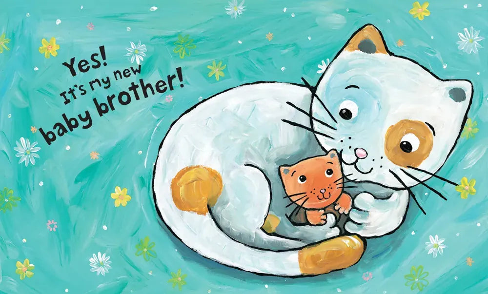 Kitty's Cuddles US - Paperback / softback
