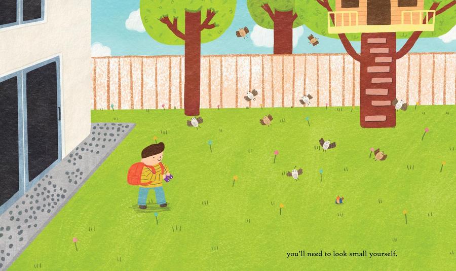 The Smallest Bird US - Hardback