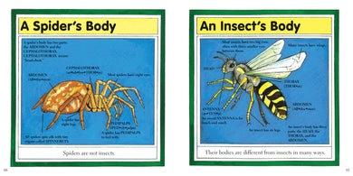 Arañas interior 3 (ISBN 9780823458660)
