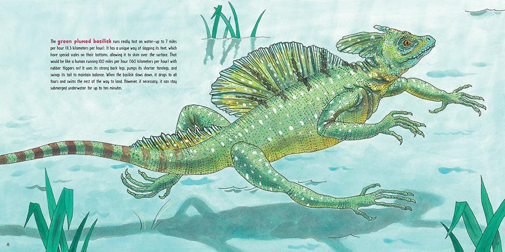Lizards at Large US - Paperback / softback