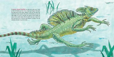 Lizards at Large US - Paperback / softback