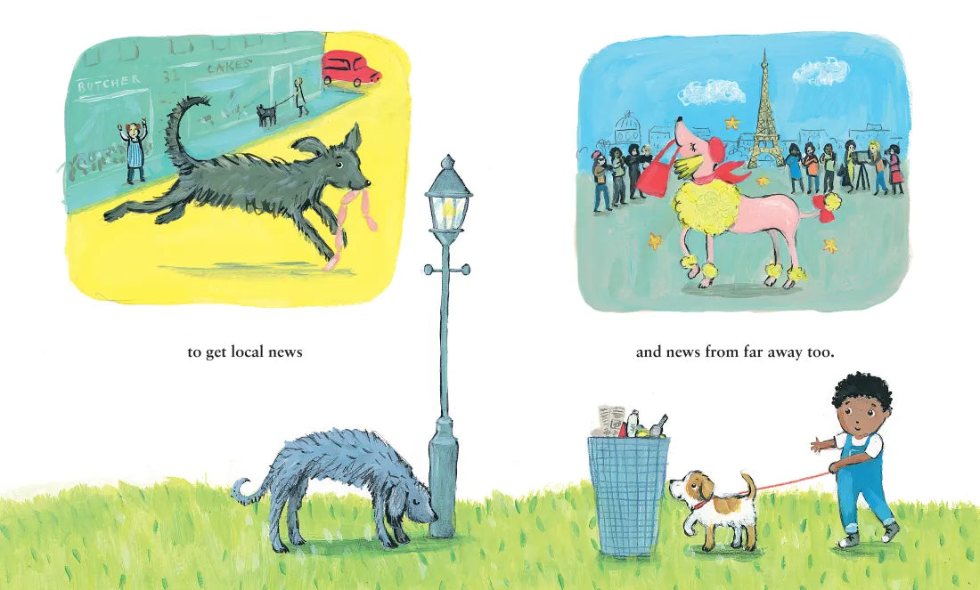 The Daily Sniff US - Paperback / softback
