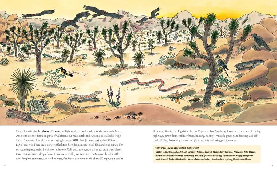 A Day in the Life of the Desert US - Paperback / softback