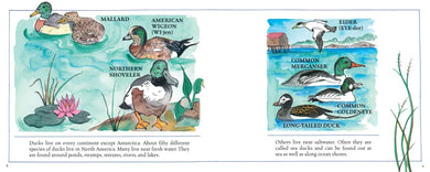 Ducks! (New & Updated) US - Hardback