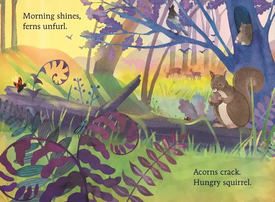 Hello, Sun US - Board book