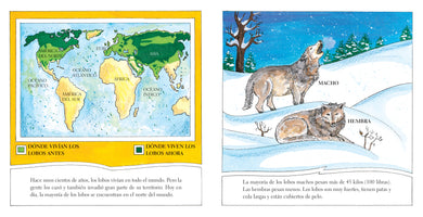 Lobos interior 3 (ISBN 9780823460014)