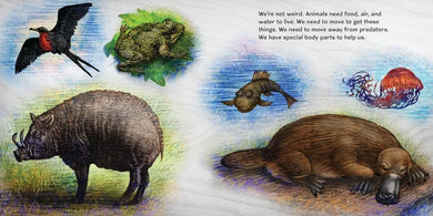 We're Not Weird US - Paperback / softback