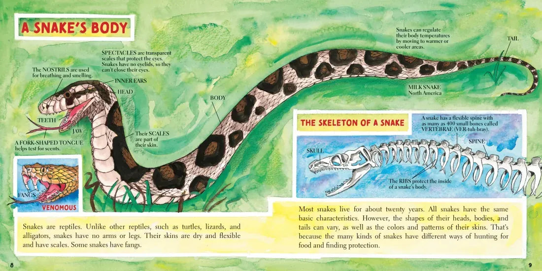 Snakes (New & Updated) US - Hardback