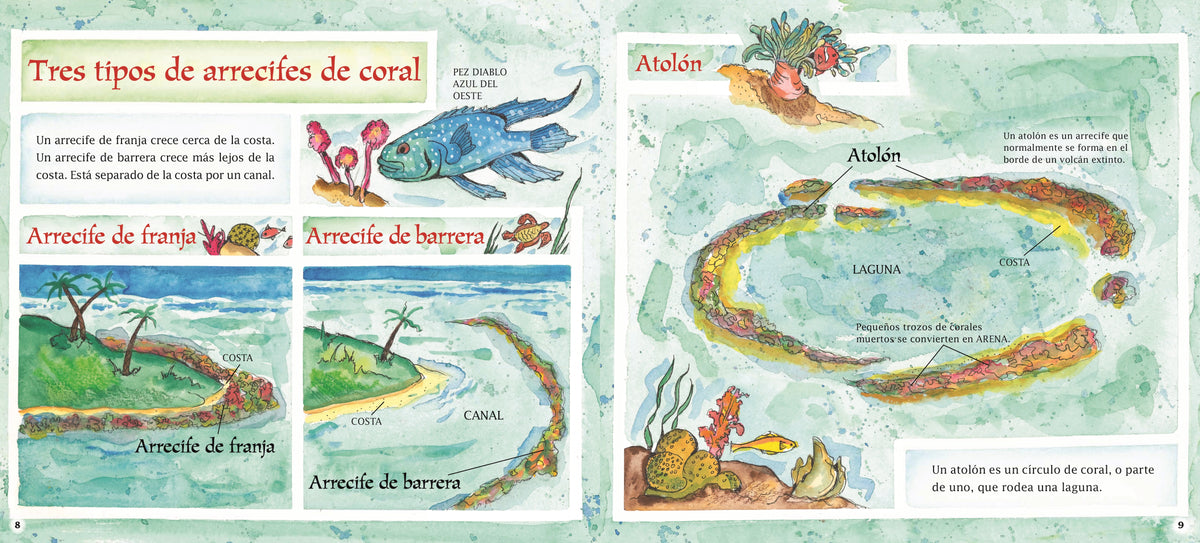 Arrecifes de coral interior 3 (ISBN 9780823461721)