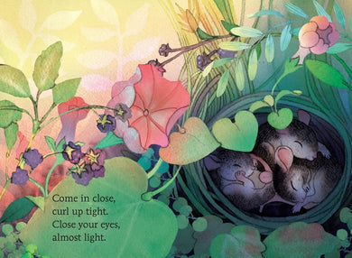 Hello, Moon US - Board book