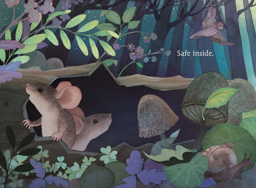 Hello, Moon US - Board book