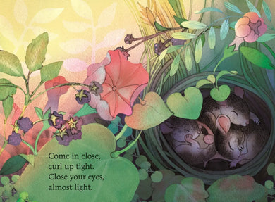 Hello, Moon US - Board book
