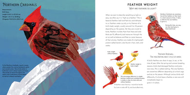 Light as a Feather US - Hardback