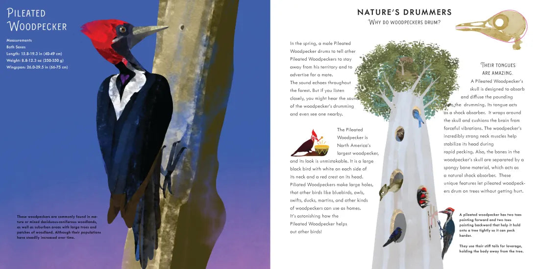 Light as a Feather US - Hardback