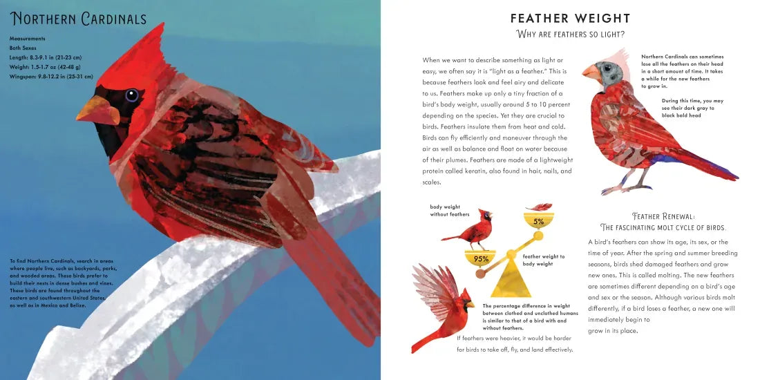 Light as a Feather US - Hardback