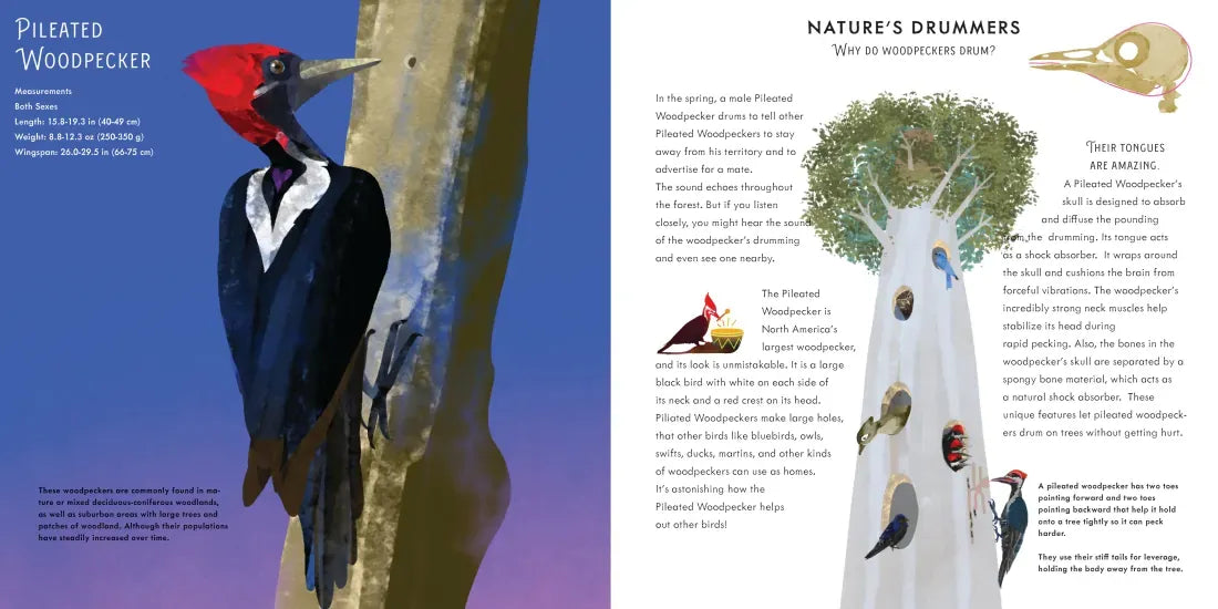 Light as a Feather US - Hardback