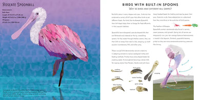 Light as a Feather US - Hardback