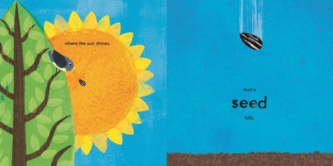 A Seed Grows US - Hardback