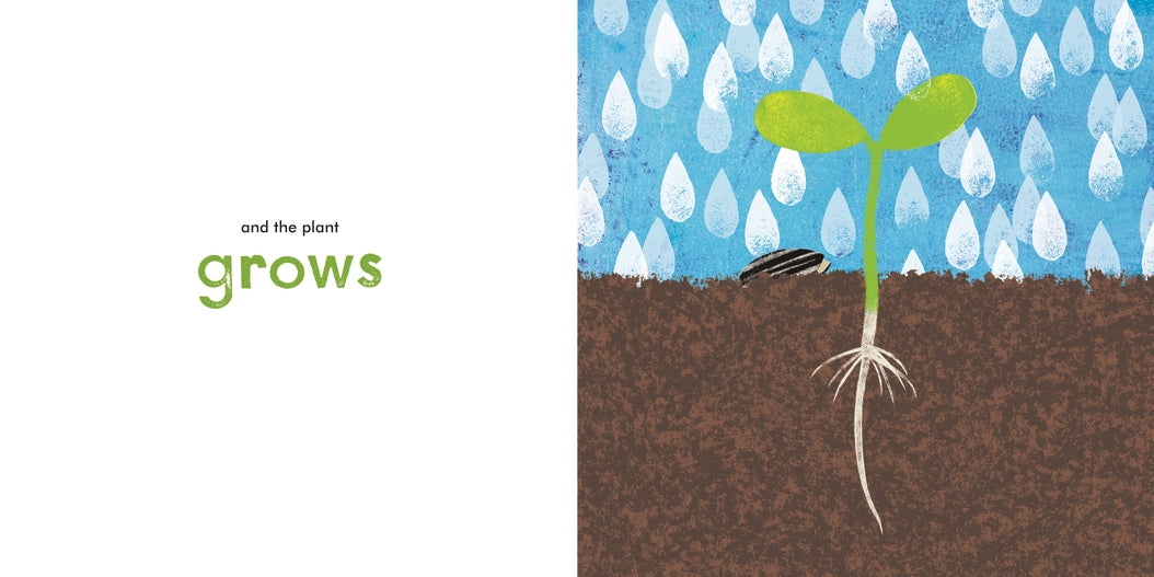 A Seed Grows US - Paperback / softback