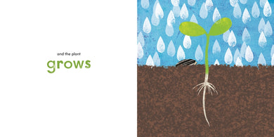 A Seed Grows US - Paperback / softback