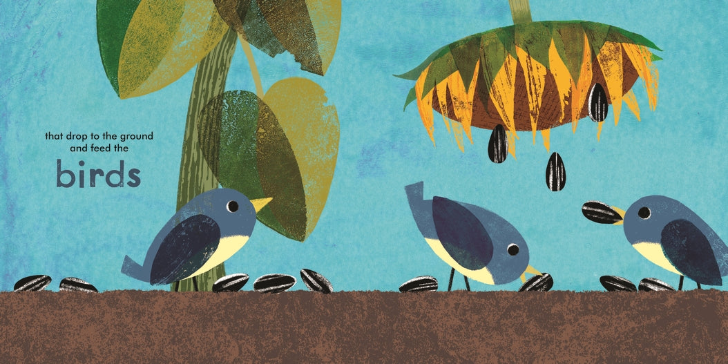A Seed Grows US - Paperback / softback