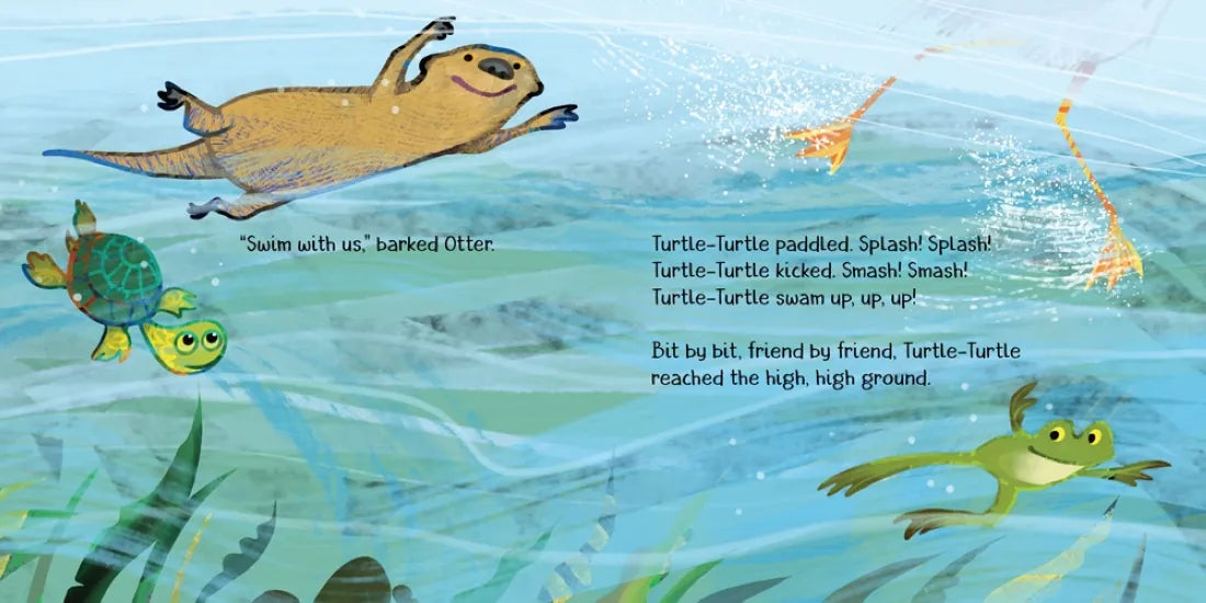 Turtle-Turtle and the Wide, Wide River US - Hardback