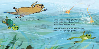 Turtle-Turtle and the Wide, Wide River US - Hardback