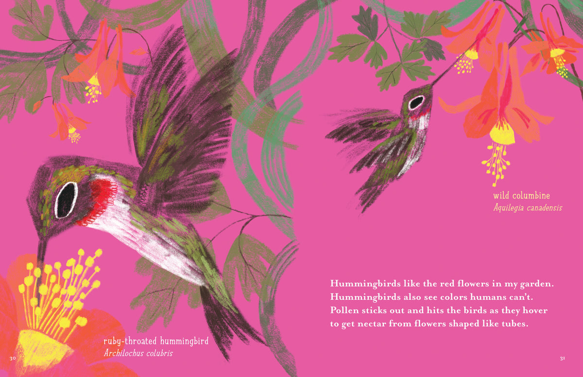My Pollinator Garden interior 2 (ISBN 9780823465460)