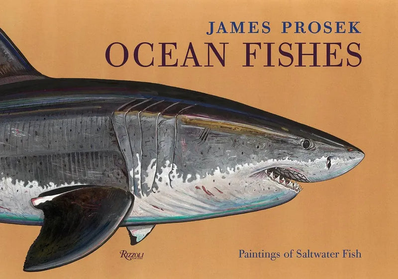 James Prosek: Ocean Fishes-Art: general-買書書 BuyBookBook