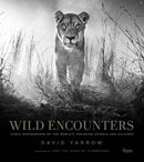 Wild Encounters-Photography and photographs-買書書 BuyBookBook