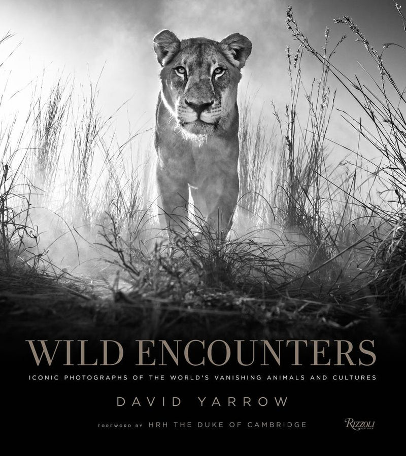 Wild Encounters-Photography and photographs-買書書 BuyBookBook