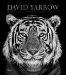 David Yarrow Photography-Photography and photographs-買書書 BuyBookBook