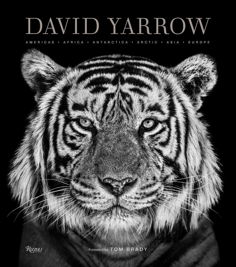 David Yarrow Photography-Photography and photographs-買書書 BuyBookBook