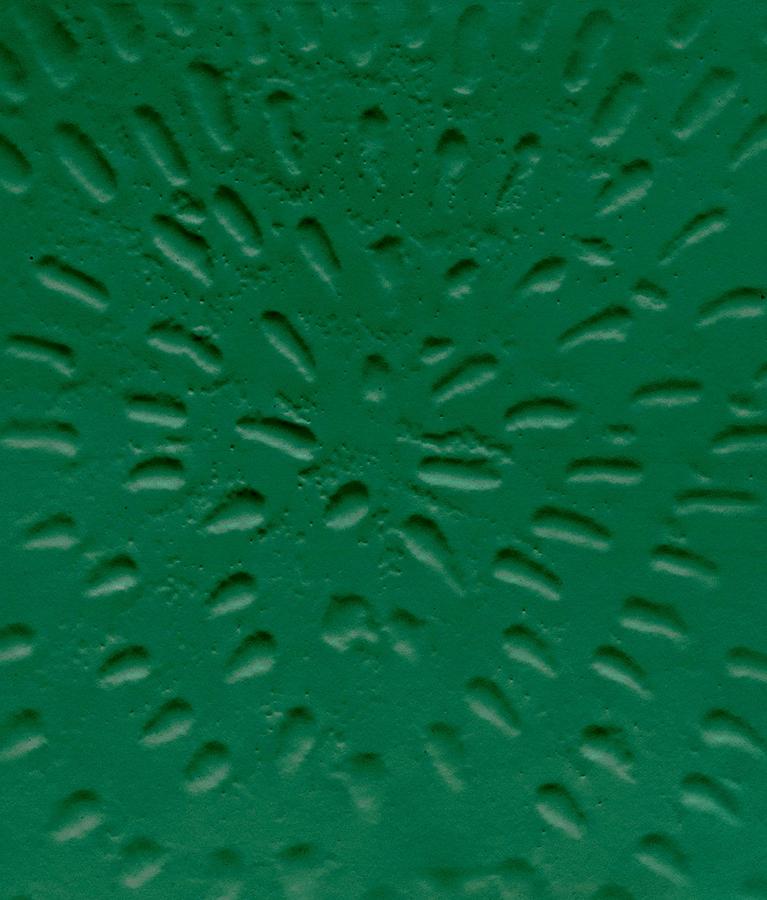 Jennifer Guidi-Art: general-買書書 BuyBookBook